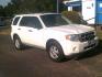 2009 White Suede /Charcoal Black Cloth Ford Escape XLT FWD V6 (1FMCU03G79K) with an 3.0L V6 DOHC 24V engine, 4-Speed Automatic transmission, located at 116 N. Frazier Street, Conroe, TX, 77301, (936) 647-0690, 30.308662, -95.460480 - Photo#1