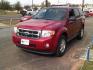 2011 Sangria Red Metallic Ford Escape XLT (1FMCU0D73BK) , located at 116 N. Frazier Street, Conroe, TX, 77301, (936) 647-0690, 30.308662, -95.460480 - Photo#2